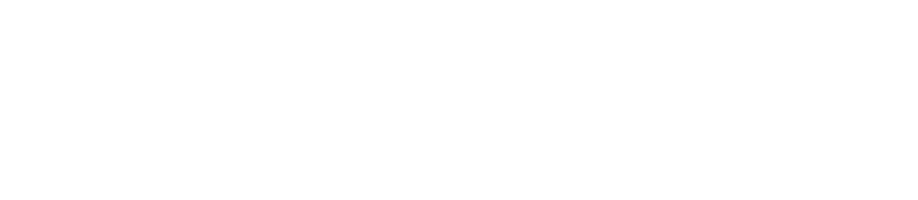 BAJAI89 System